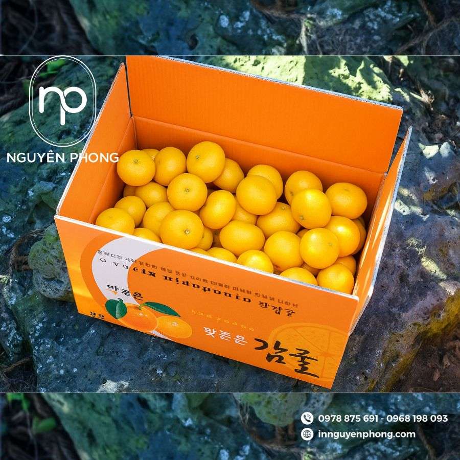 in-thung-carton-dung-dua-gia-re-tai-ha-noi